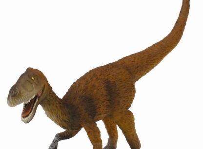 Age of Dinosaurs – Popular Sizes