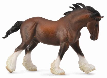 Horse Country