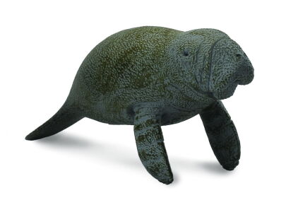 COLLECTA 88456 MANAT MŁODY PŁYWAJĄCY M