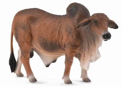 COLLECTA 88599 BYK CZERWONY BRAHMAN L