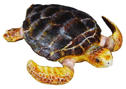 COLLECTA 88094 ŻÓŁW KARRETA M