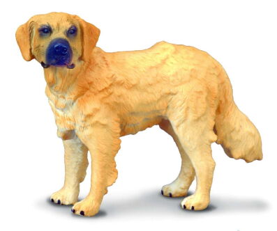 COLLECTA 88116 PIES GOLDEN RETRIEVER SAMIEC M