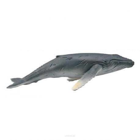 COLLECTA 88963 DŁUGOPŁETWIEC OCEANICZNY HUMBAK MŁODY M