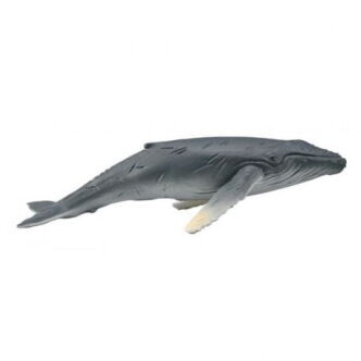 COLLECTA 88963 DŁUGOPŁETWIEC OCEANICZNY HUMBAK MŁODY M