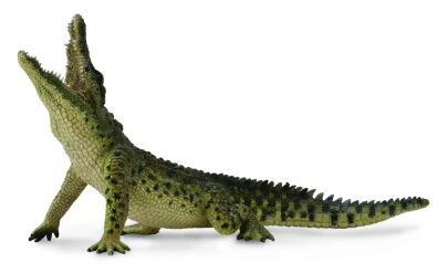 COLLECTA 88725 KROKODYL NILOWY XL