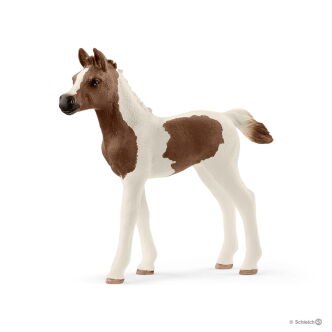 Schleich ŹREBIĘ RASY PINTABIAN (Schleich 13839)