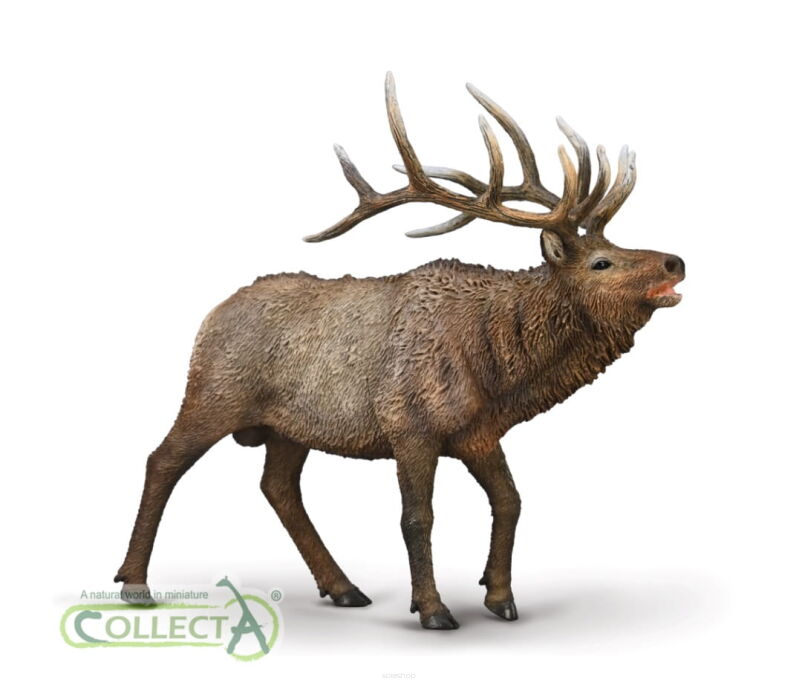 COLLECTA 80021 WAPITI JELEŃ KANADYJSKI XL