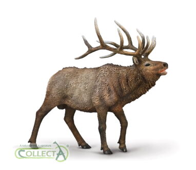 COLLECTA 80021 WAPITI JELEŃ KANADYJSKI XL