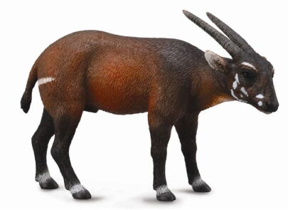 COLLECTA 88640 KOZICA SAOLA, WÓŁ VU QUANG L