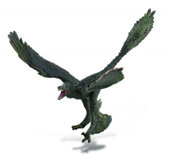 COLLECTA 88875 DINOZAUR MIKRORAPTOR PIERZASTY / MICRORAPTOR XL