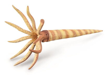 COLLECTA 88903 ORTHOCERAS L