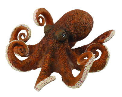 COLLECTA 88485 OŚMIORNICA XL
