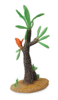 COLLECTA 89400 ROŚLINA WILLIAMSONIA