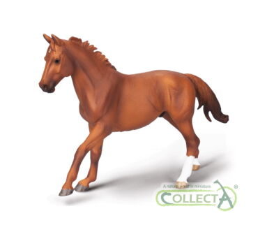COLLECTA 80017 KOŃ PHAR LAP PEŁNEJ KRWI XL