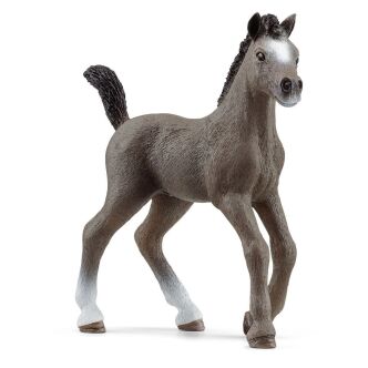 Schleich ŹREBIĘ RASY SELLE FRANCAIS Horse Club (Schleich 13957)