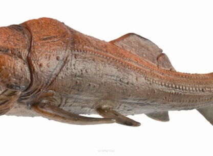 COLLECTA 88817 DUNKLEOSTEUS Z RUCHOMĄ SZCZĘKĄ DELUXE SKALA 1:20