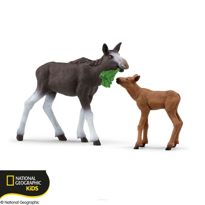 Schleich ŁOŚ I CIELĘ Wild Life (Schleich 42603)