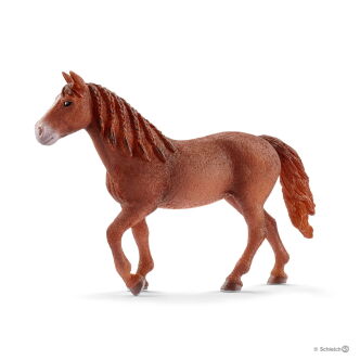 Schleich KLACZ RASY MORGAN (Schleich 13870)