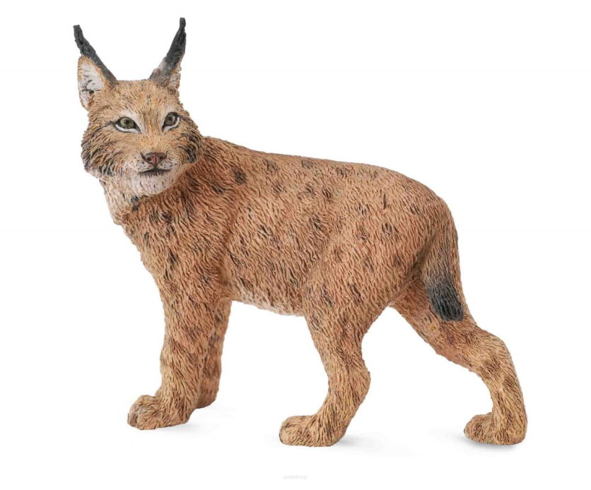 COLLECTA 88565 RYŚ L