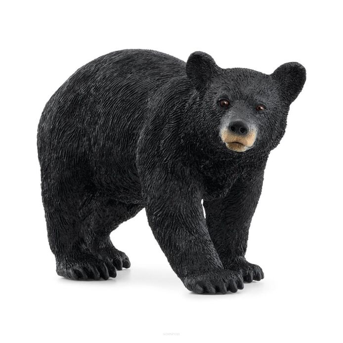 Schleich NIEDŹWIEDŹ CZARNY Wild Life (Schleich 14869)