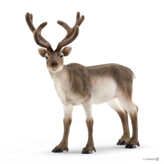 Schleich RENIFER (Schleich 14837)