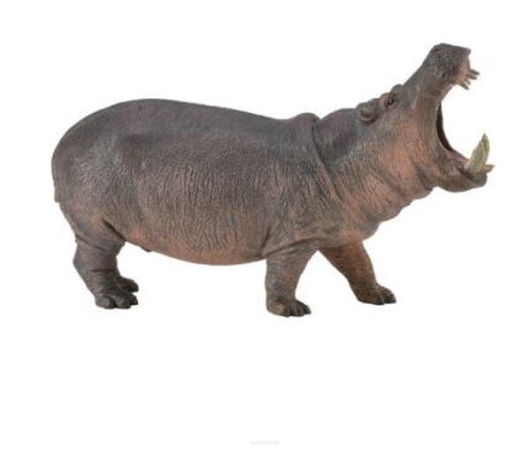 COLLECTA 88833 HIPOPOTAM NILOWY XL