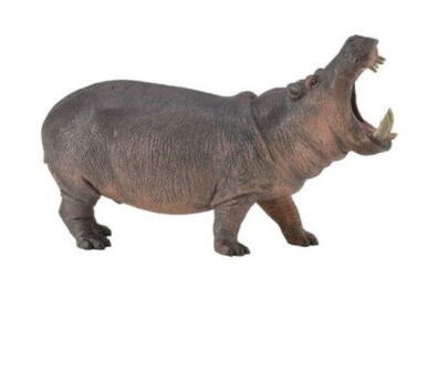 COLLECTA 88833 HIPOPOTAM NILOWY XL