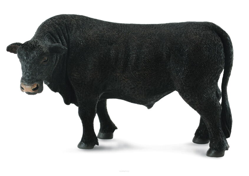 COLLECTA 88507 BYK ANGUS CZARNY L