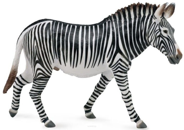 COLLECTA 88773 ZEBRA PRĘGOWANA GREVY'EGO XL