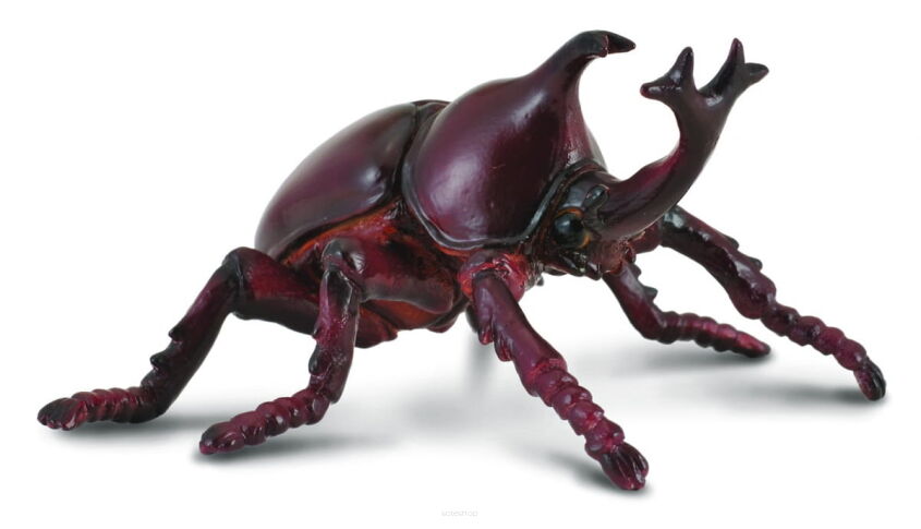 COLLECTA 88337 ROHATYNIEC NOSOROŻEC GARBARZ M