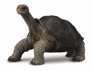 COLLECTA 88619 ŻÓŁW Z WYSPY PINTA M