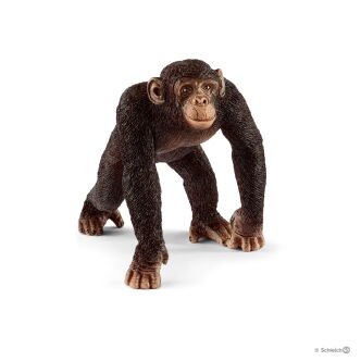 Schleich SZYMPANS SAMIEC (Schleich 14817)
