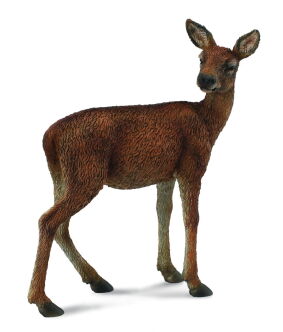 COLLECTA 88470 JELEŃ SZLACHETNY ŁANIA SAMICA M