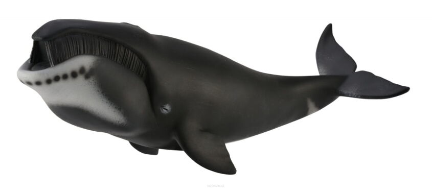 COLLECTA 88652 WIELORYB WAL GRANLANDZKI XL