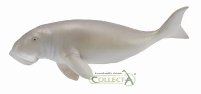 COLLECTA 88766 DIUGOŃ PRZYBRZEŻNY L
