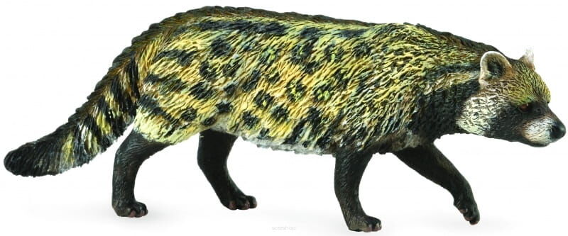 COLLECTA 88824 CYWETA AFRYKAŃSKA M