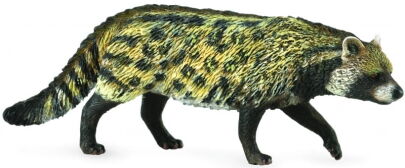 COLLECTA 88824 CYWETA AFRYKAŃSKA M