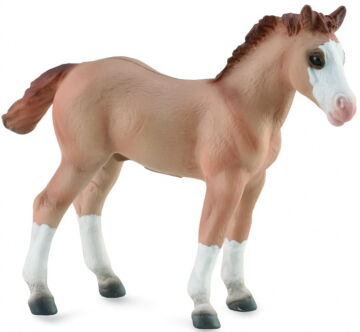COLLECTA 88814 ŹREBIĘ QUARTER CZERWONOBUŁANE M / QUARTER FOAL RED DUN