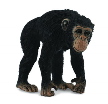 COLLECTA 88493 SZYMPANS SAMICA M