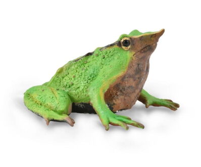 COLLECTA 88938 ŻABA GARDŁORÓD DARWINA M