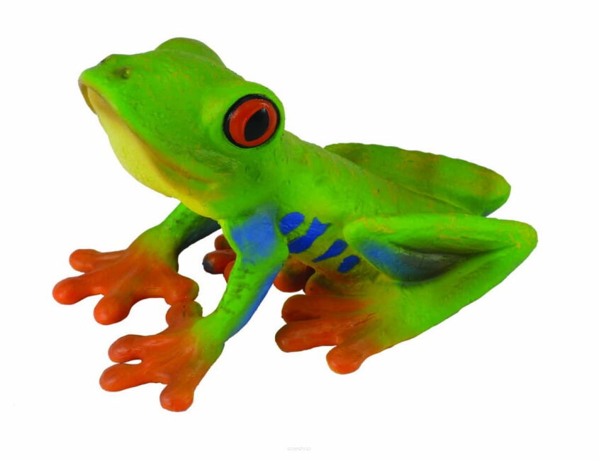 COLLECTA 88386 RZEKOTKA CZERWONOOKA / CHWYTNICA KOLOROWA M