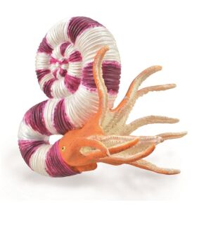 COLLECTA 88927  PRAVITOCERAS L