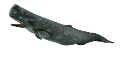 COLLECTA 88835 KASZALOT SPERMACETOWY XL