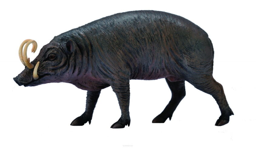 COLLECTA 88727 BABIRUSSA WĄSATA SREBRNA SAMIEC / BABIRUSA L