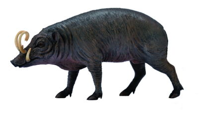 COLLECTA 88727 BABIRUSSA WĄSATA SREBRNA SAMIEC / BABIRUSA L
