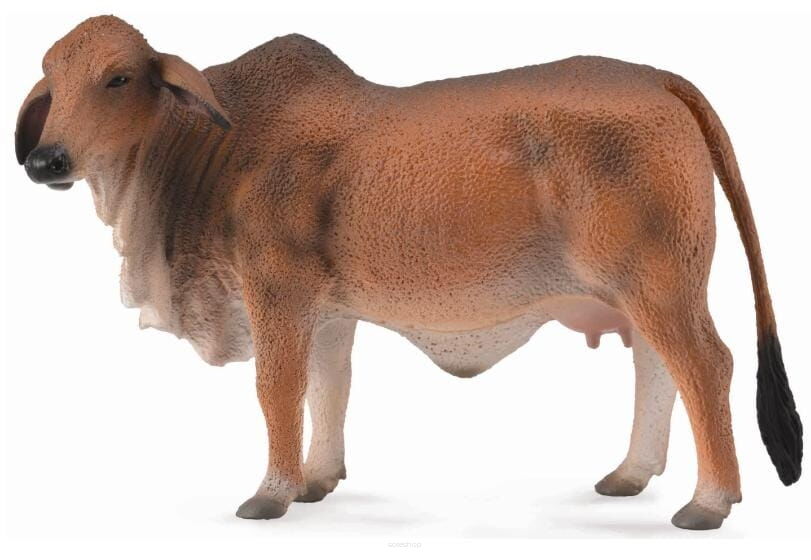 COLLECTA 88600 KROWA BRAHMAN CZERWONA L