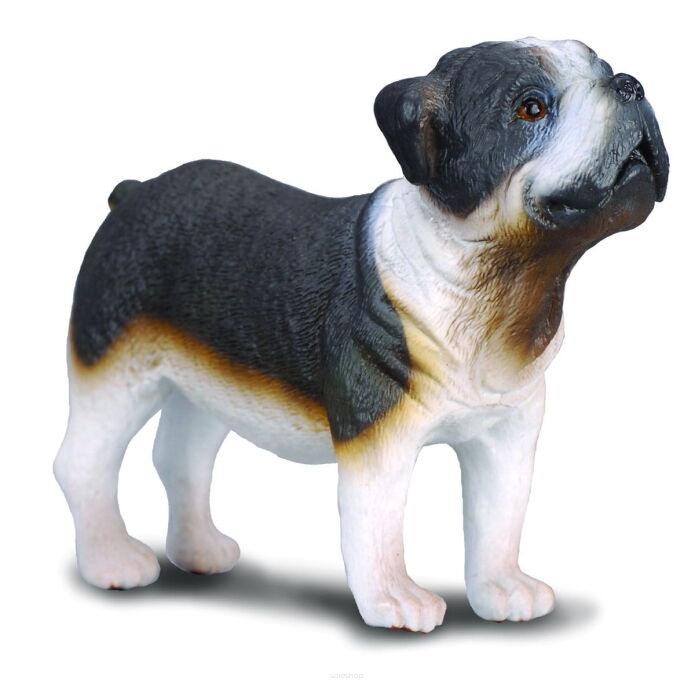COLLECTA 88179 PIES RASY BULDOG ANGIELSKI M