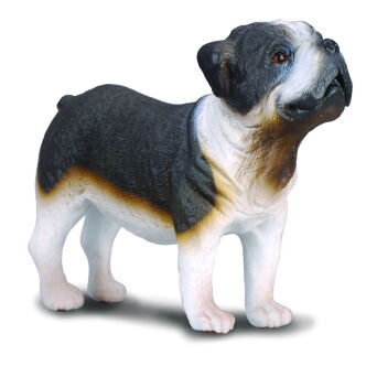 COLLECTA 88179 PIES RASY BULDOG ANGIELSKI M