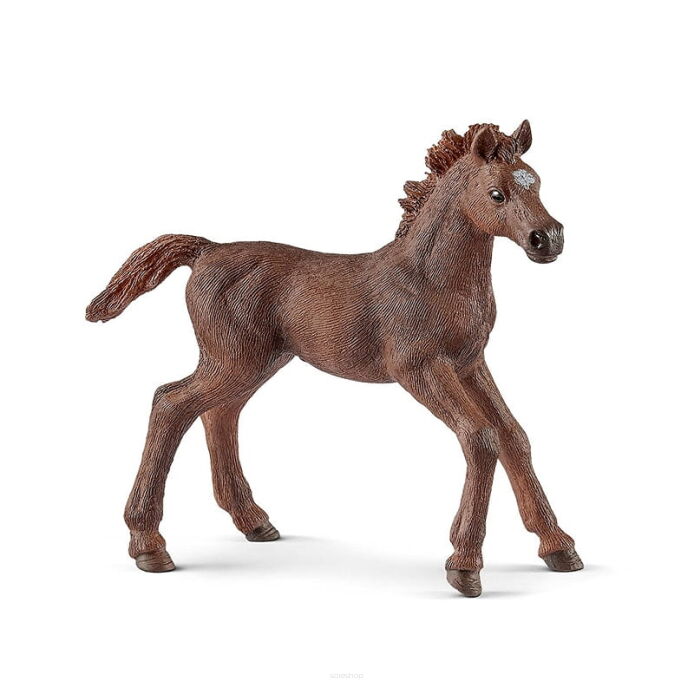 Schleich ŹREBIĘ PEŁNEJ KRWI ANGIELSKIEJ (Schleich 13857)