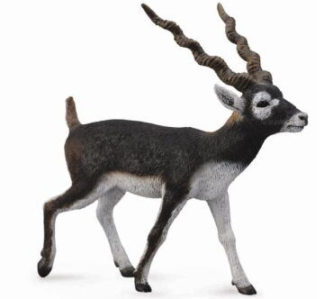 COLLECTA 88638 ANTYLOPA INDYJSKA / BLACKBUCK L